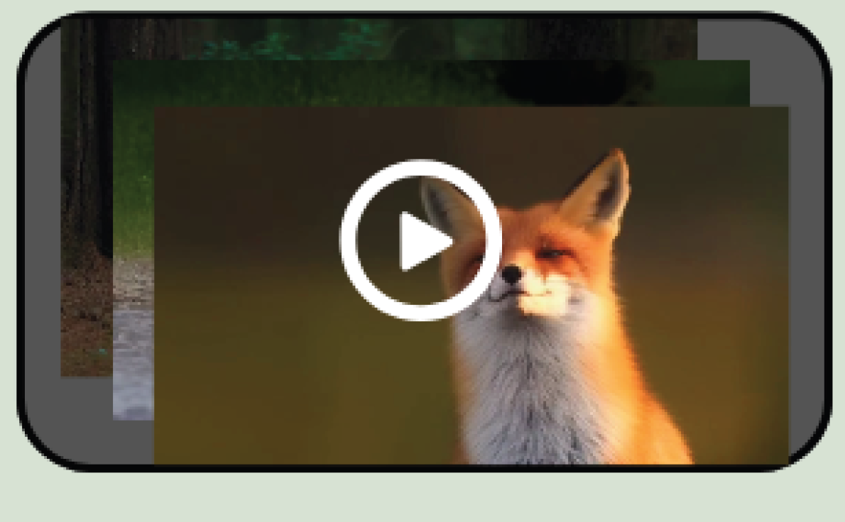 2025_vitasovic_soundsight.png